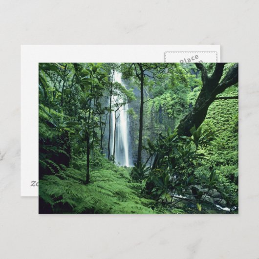 Hanakapiai fällt entlang der Na Pali Küste, Kauai, Postkarte (Vorne/Hinten)