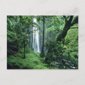 Hanakapiai fällt entlang der Na Pali Küste, Kauai, Postkarte (Vorderseite)