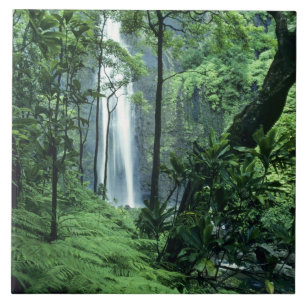 Hanakapiai-Wasserfall entlang der Na Pali Küste, K Fliese