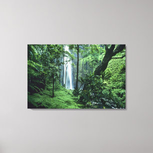Hanakapiai-Wasserfall entlang der Na Pali Küste, K Leinwanddruck