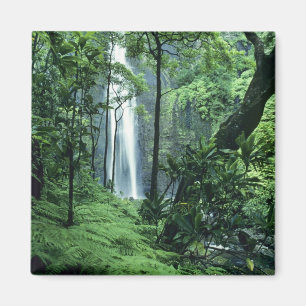 Hanakapiai-Wasserfall entlang der Na Pali Küste, K Magnet