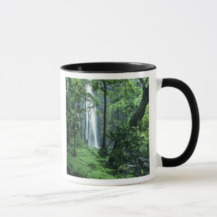 Hanakapiai-Wasserfall entlang der Na Pali Küste, K Tasse