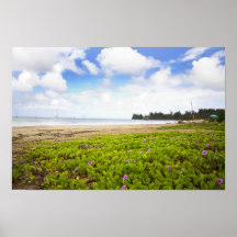 Hanalei Bay, Kauai Hawaii Beach Blume