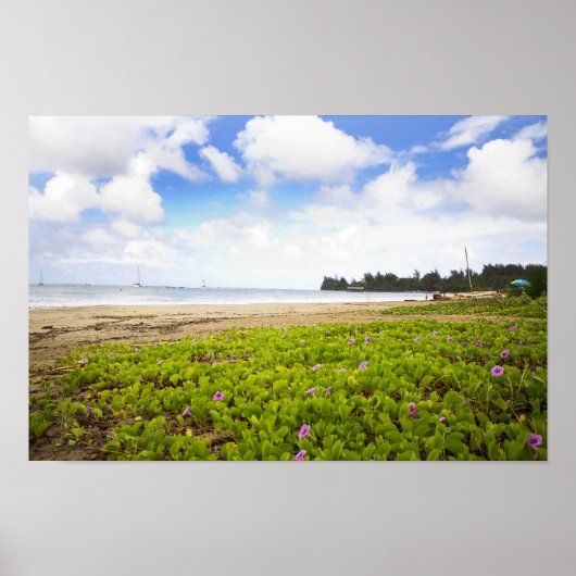 Hanalei Bay, Kauai Hawaii Beach Blume Poster (Vorne)