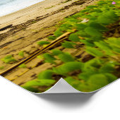 Hanalei Bay Kauai Hawaii ・ Beach & Boats Scene Poster (Ecke)