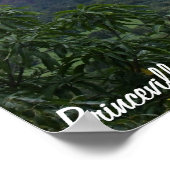 Hanalei Bay Poster (Ecke)