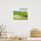 HANALEI (KAUAI) TARO-FELDER POSTER (Küche)