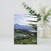 Hanalei - Princeville, North Shore, Kauai Postkarte (Stehend Vorderseite)