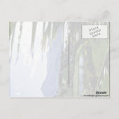 Hanalei - Princeville, North Shore, Kauai Postkarte (Rückseite)