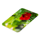 Hanalei Red Hibiskus Tropical Blume Magnet (Linke Seite)