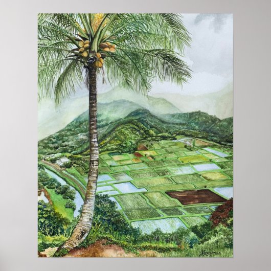 Hanalei Valley 16x20M Poster (Vorne)