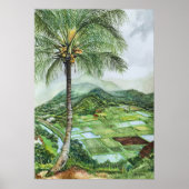 Hanalei Valley Lookout Poster (Vorne)