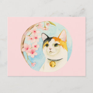 Hanami   Japanische Cartoon Cat Illustration Postkarte