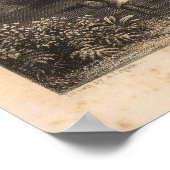 Hanapepe Valley, Hawaii Poster (Ecke)