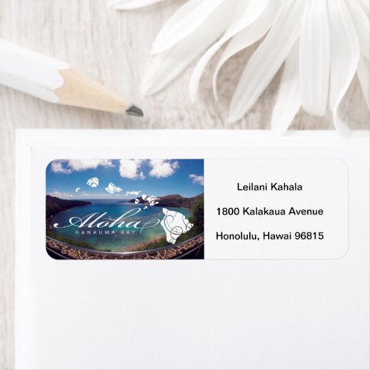 Hanauma Bay Hawaii (Insitu)