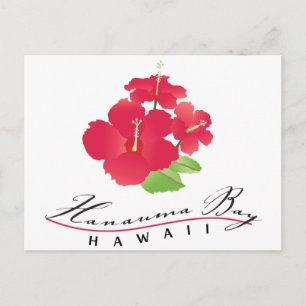Hanauma Bay Hawaii - Blume Roter Hibiskus Postkarte