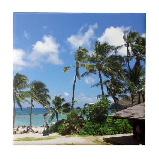 Hanauma Bay Hawaii Coconut Trees Fliese (Vorderseite)