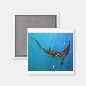 Hanauma Bay Hawaii Manta Ray Magnet (Vorderseite/Rückseite)