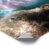 Hanauma Bay Hawaii Parrot Fish Poster (Ecke)