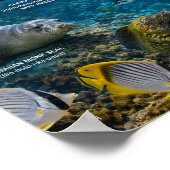 Hanauma Bay Hawaii Poster (Ecke)