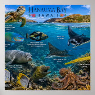 Hanauma Bay Hawaii Poster