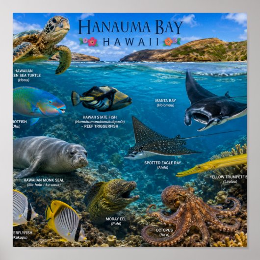 Hanauma Bay Hawaii Poster (Vorne)