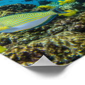 Hanauma Bay Hawaii Poster (Ecke)