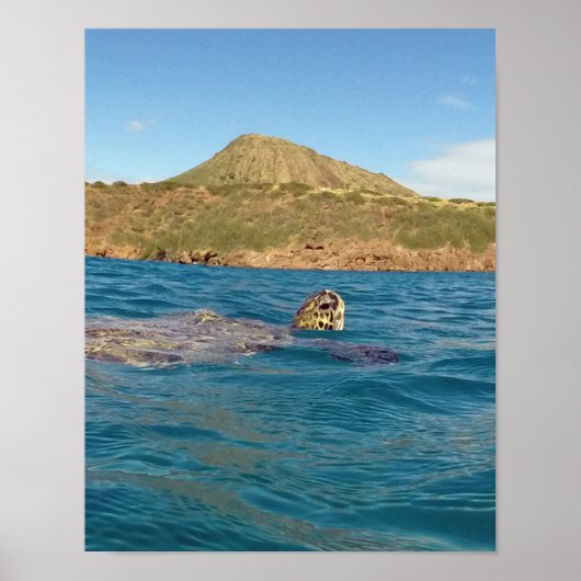 Hanauma Bay Hawaii Poster (Vorne)
