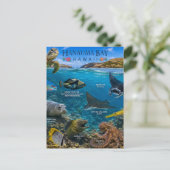 Hanauma Bay Hawaii Postkarte (Stehend Vorderseite)