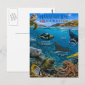 Hanauma Bay Hawaii Postkarte (Vorne/Hinten)