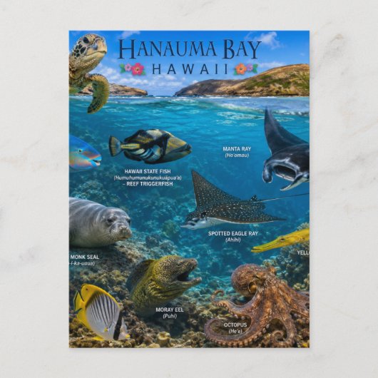 Hanauma Bay Hawaii Postkarte (Vorderseite)