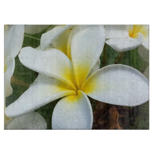 Hanauma Bay Hawaii Schneidebrett (Vorderseite)