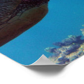 Hanauma Bay Hawaii Sea Turtle Poster (Ecke)
