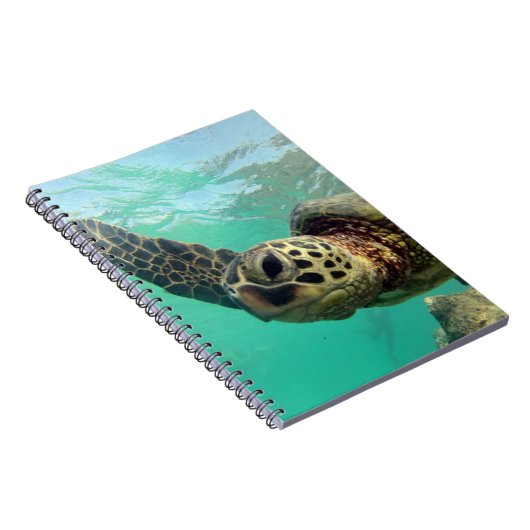 Hanauma Bay Hawaii Turtle Notizblock (Rechte Seite)