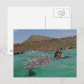 Hanauma Bay Hawaii Turtle Postkarte (Vorne/Hinten)