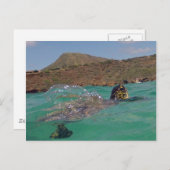 Hanauma Bay Hawaii Turtle Postkarte (Vorne/Hinten)