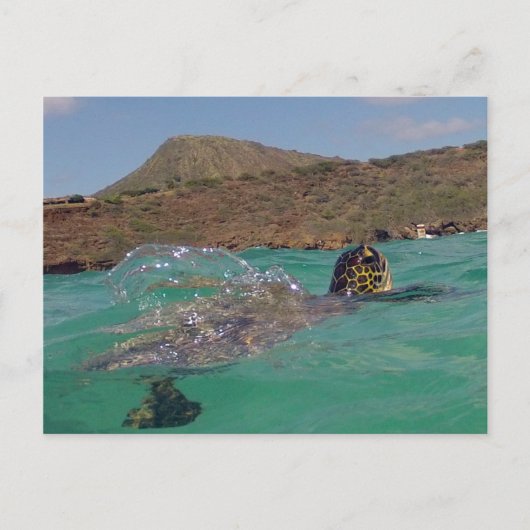 Hanauma Bay Hawaii Turtle Postkarte (Vorderseite)