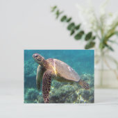 Hanauma Bay Hawaii Turtle Postkarte (Stehend Vorderseite)