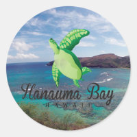 Hanauma Bay Hawaii Turtle