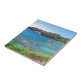 Hanauma Bay Oahu Hawaii Fliese (Seite)