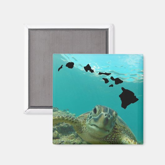 Hanauma Bay Oahu Hawaii Turtle Magnet (Vorderseite/Rückseite)