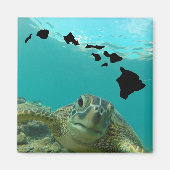 Hanauma Bay Oahu Hawaii Turtle Magnet (Vorne)