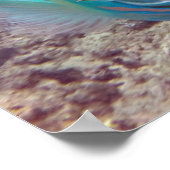 Hanauma Bay Parrot Fisch Poster (Ecke)