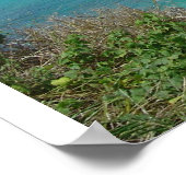 Hanauma Bay Poster (Ecke)