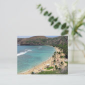 Hanauma Bay Postkarte (Stehend Vorderseite)