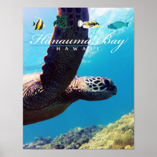 Hanauma Bucht-Hawaii-Meeresschildkröte Poster