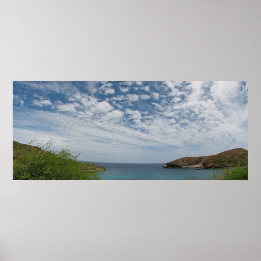 Hanauma Cove Panorama Poster (Vorne)