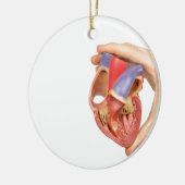 Hand, die offenes menschliches Herz des Modells Keramik Ornament (Links)