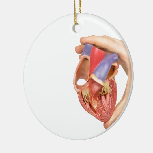 Hand, die offenes menschliches Herz des Modells Keramik Ornament (Links)