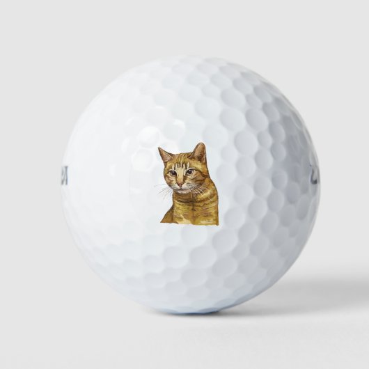 Hand drawing funny red tabby cat golfball (Vorderseite)